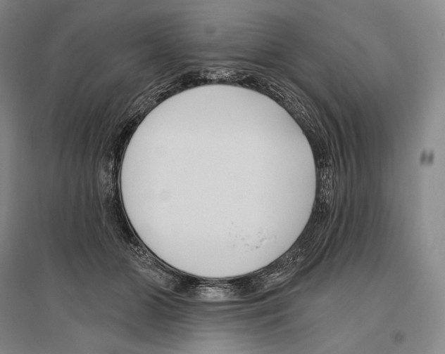 X0000096450510200802211237