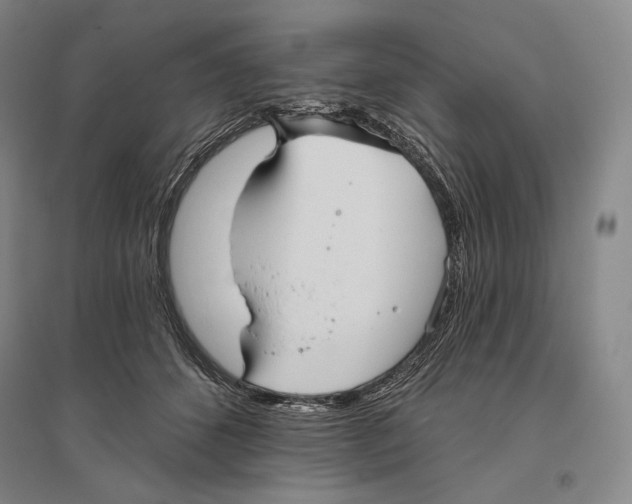 X0000096450512200802211237