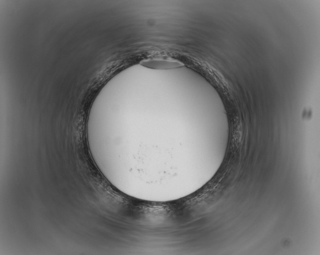 X0000096450513200802211237