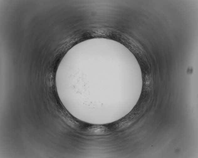 X0000096450514200802211237