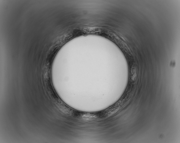 X0000096450515200802211237