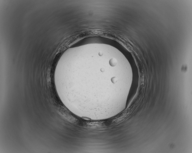 X0000096450516200802211237