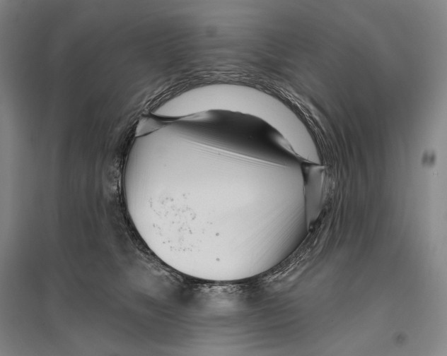 X0000096450517200802211237