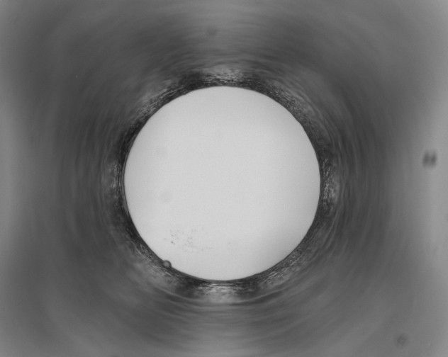 X0000096450518200802211237