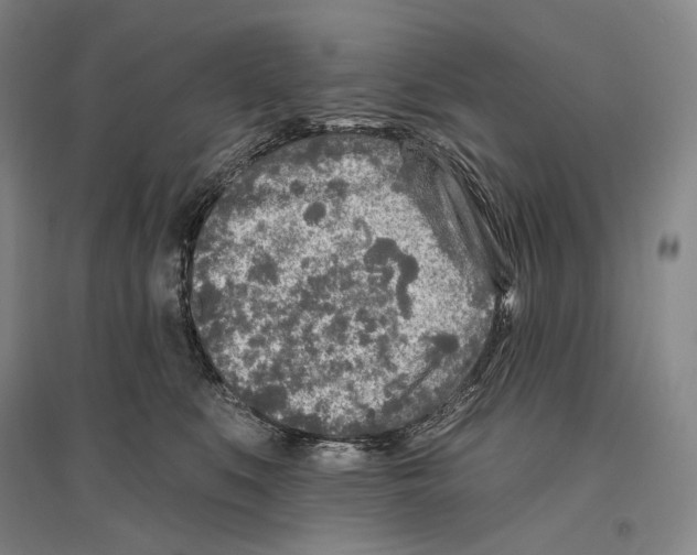 X0000096450519200802211237