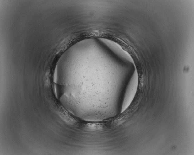 X0000096450520200802211237