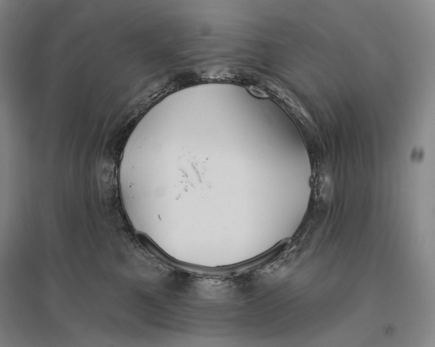 X0000096450521200802211237