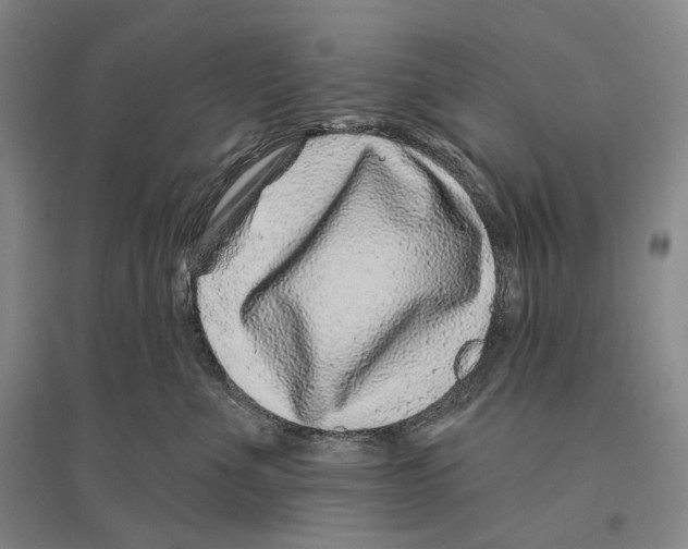 X0000096450523200802211237