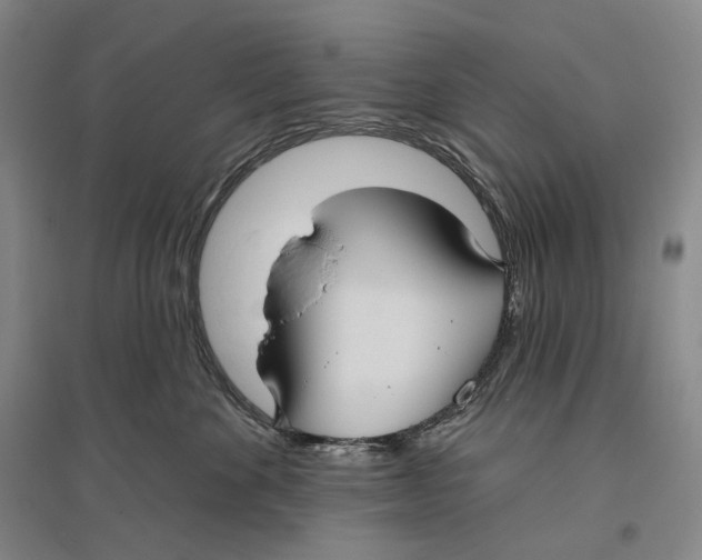 X0000096450524200802211237