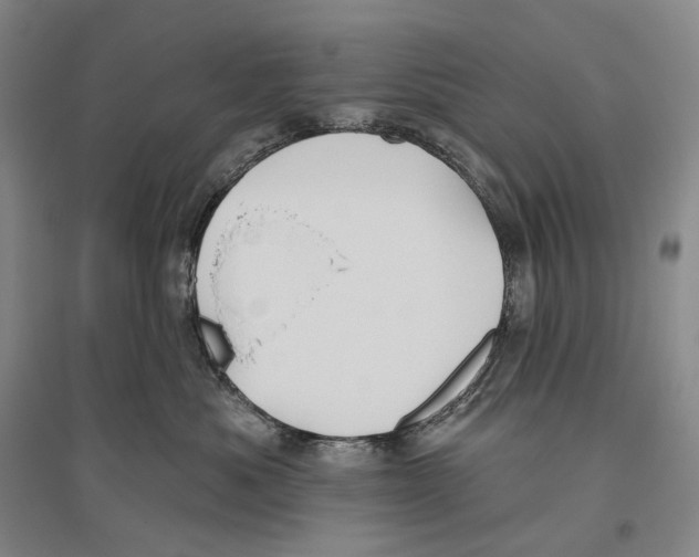 X0000096450525200802211237