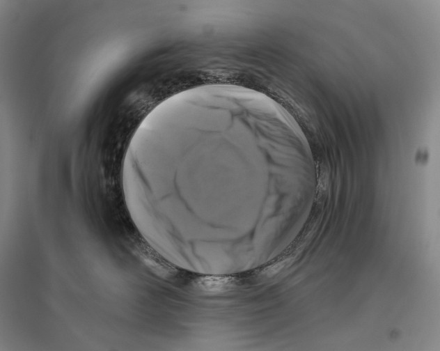 X0000096450526200802211237