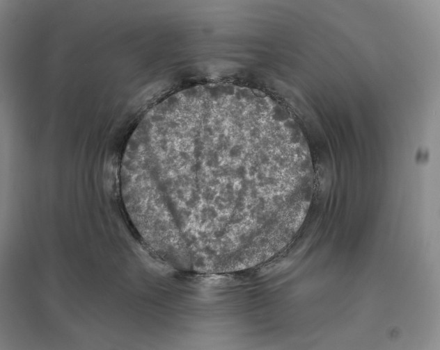 X0000096450527200802211237