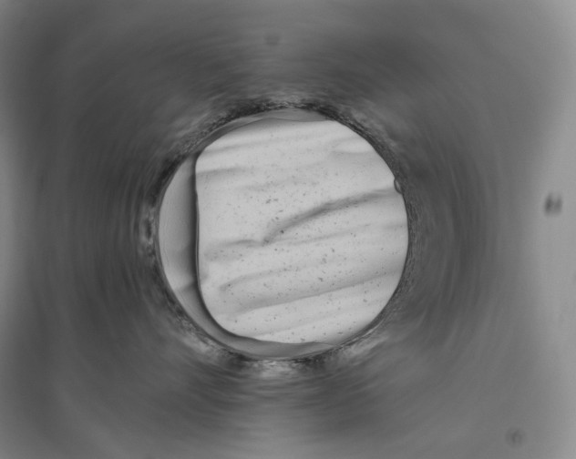 X0000096450528200802211237