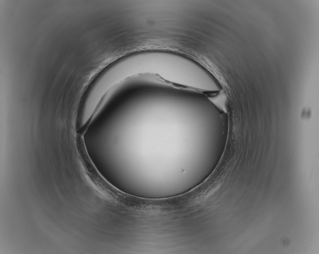 X0000096450530200802211236