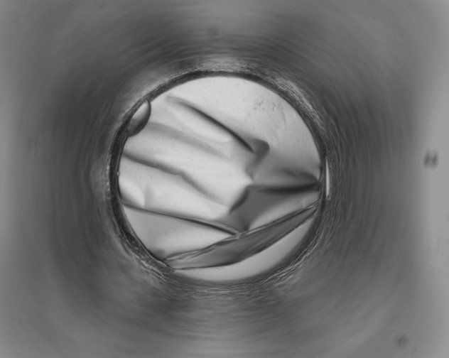 X0000096450531200802211236