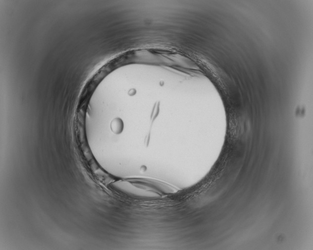 X0000096450532200802211236