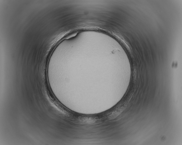 X0000096450533200802211236