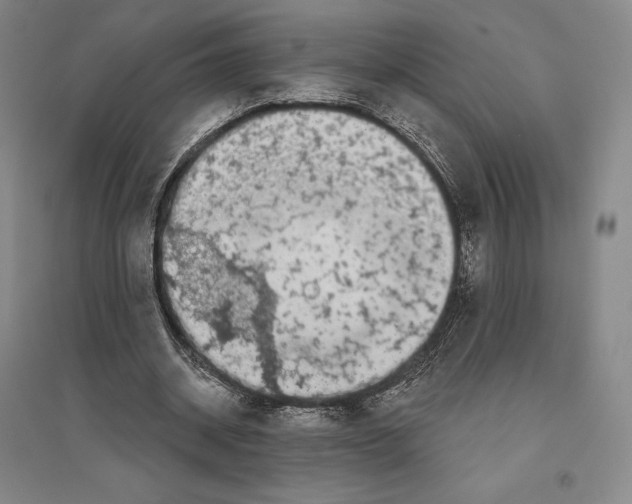 X0000096450534200802211236