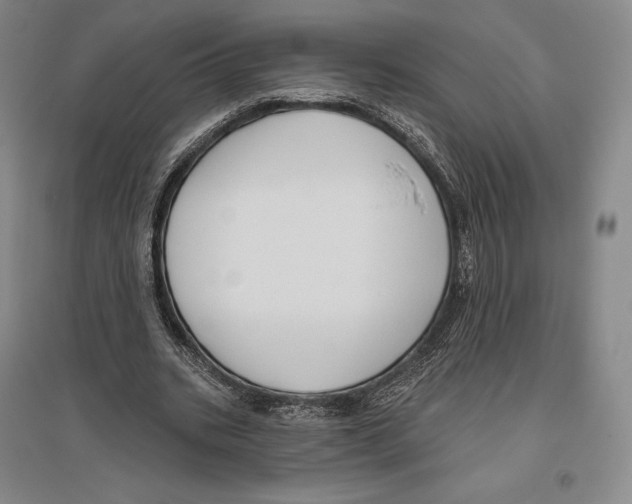 X0000096450535200802211236