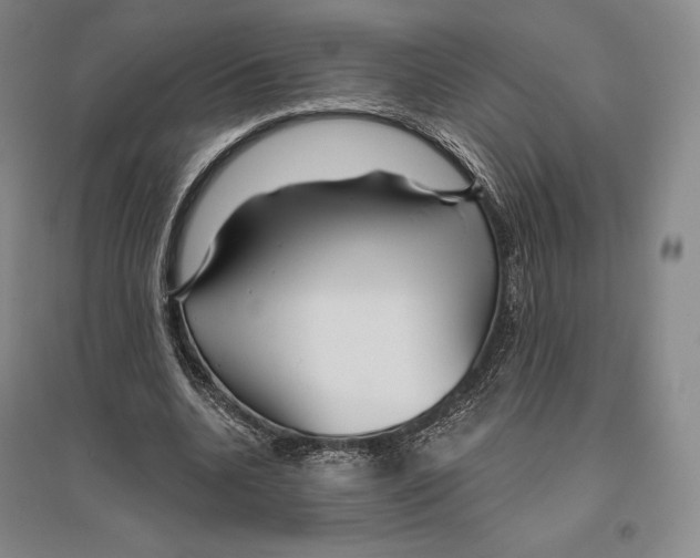 X0000096450536200802211236