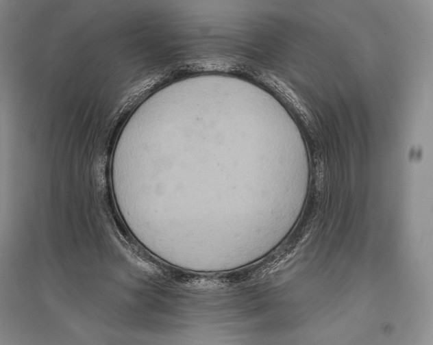 X0000096450537200802211236