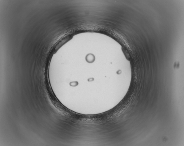 X0000096450538200802211236