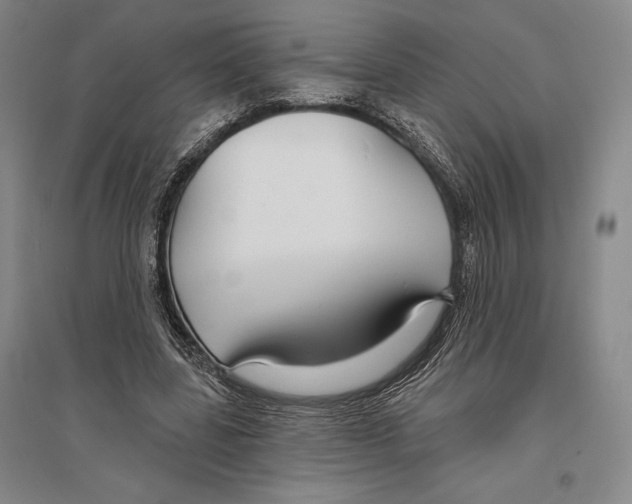 X0000096450539200802211236