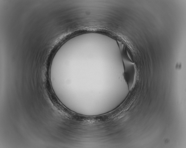 X0000096450540200802211236