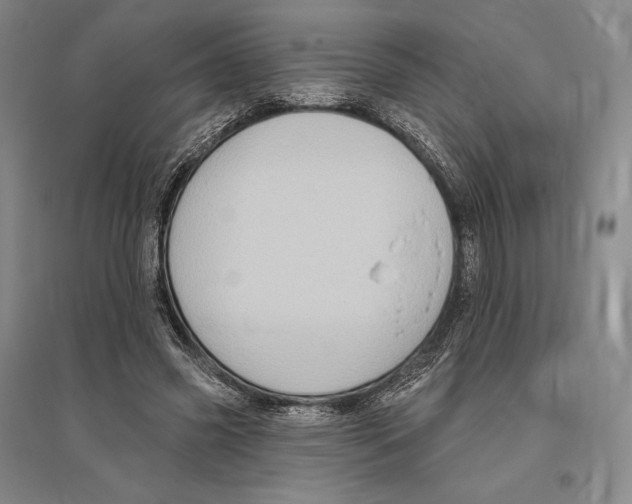 X0000096450541200802211236