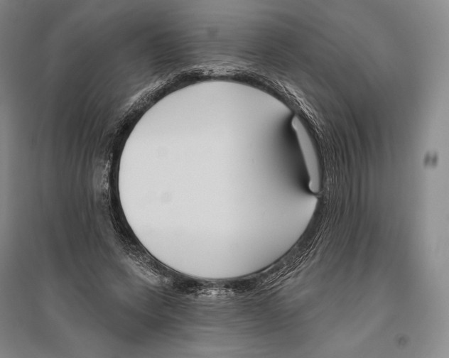 X0000096450543200802211236