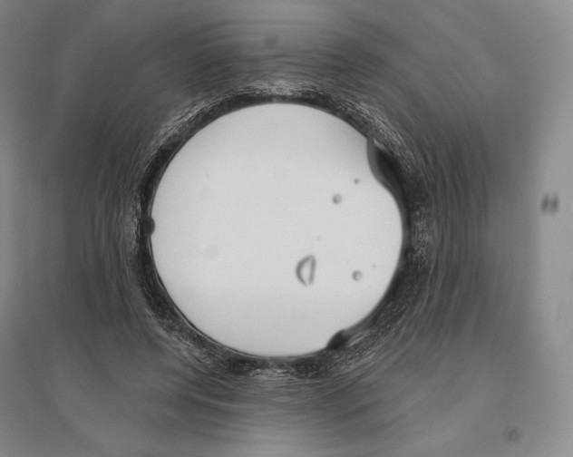 X0000096450544200802211236