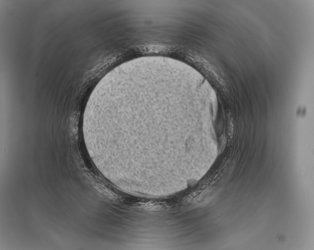 X0000096450545200802211236