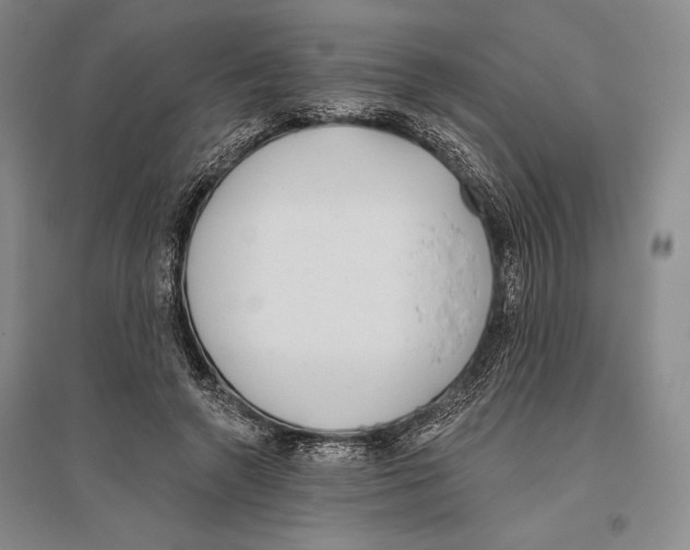 X0000096450546200802211236