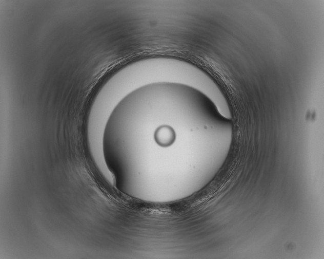 X0000096450548200802211236