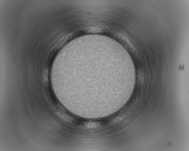 X0000096450549200802211236