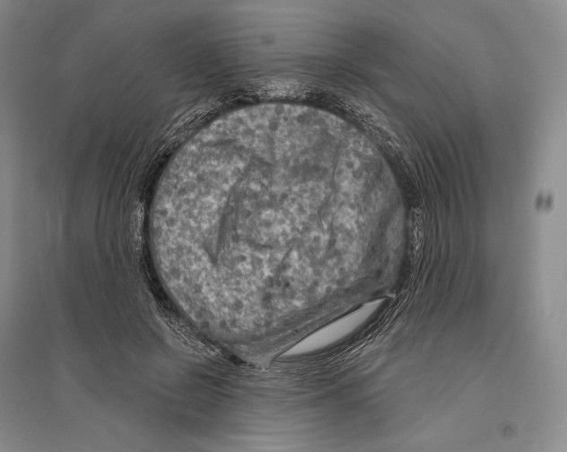 X0000096450550200802211236