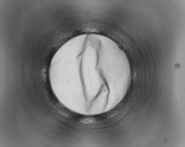 X0000096450551200802211236