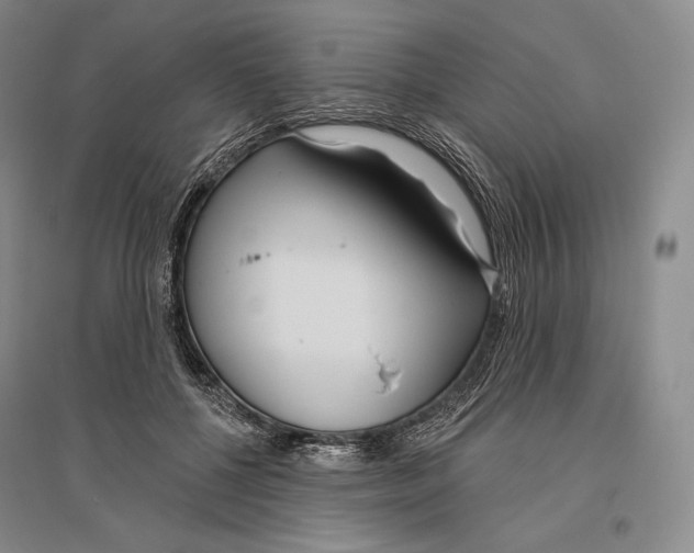 X0000096450552200802211236