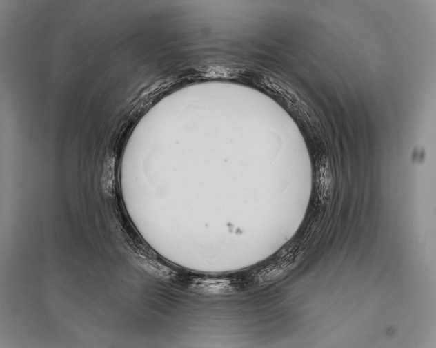 X0000096450554200802211236