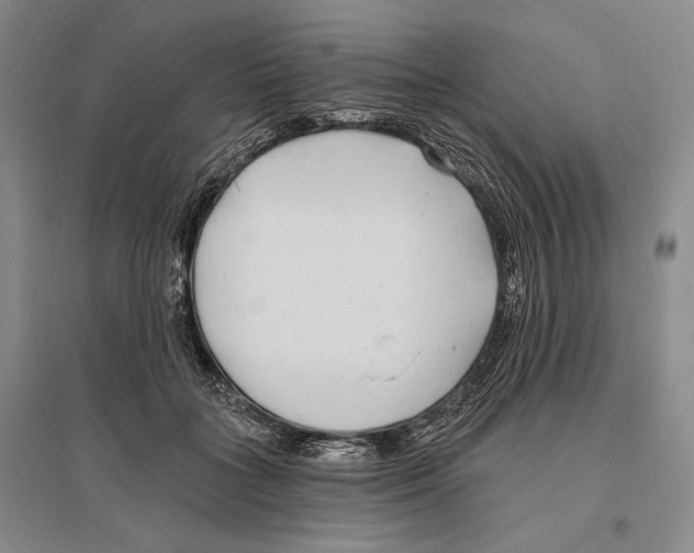 X0000096450555200802211236