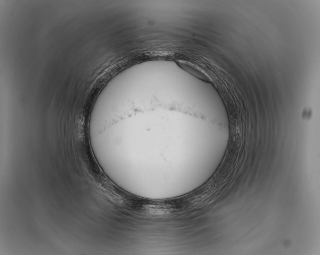 X0000096450556200802211236