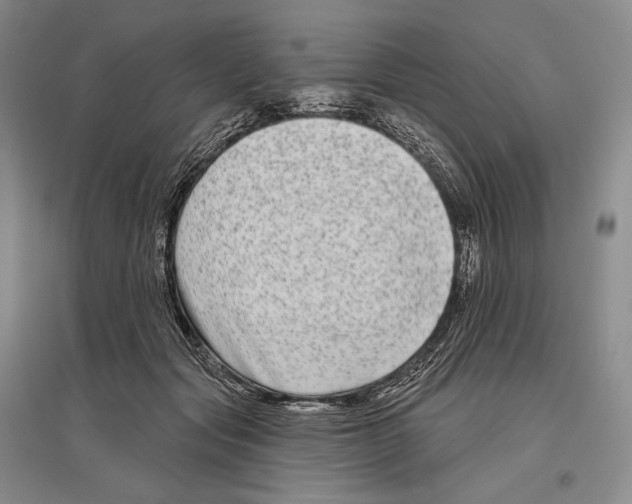 X0000096450557200802211236