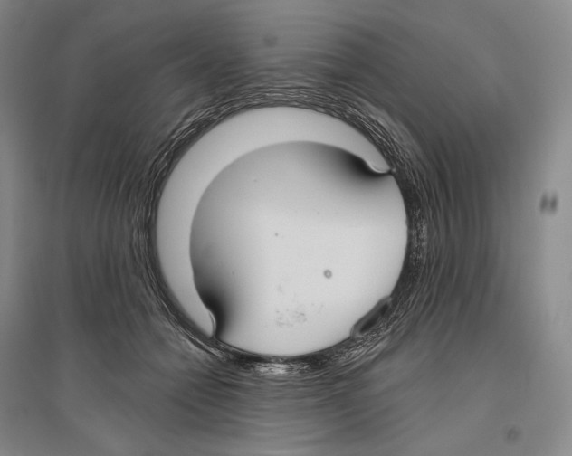 X0000096450558200802211236