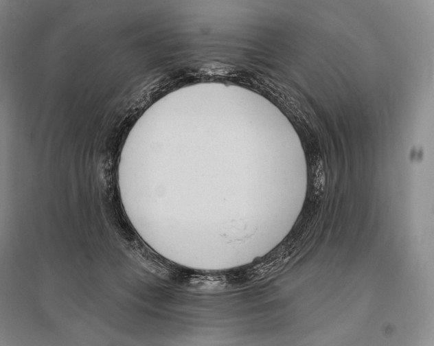 X0000096450559200802211236