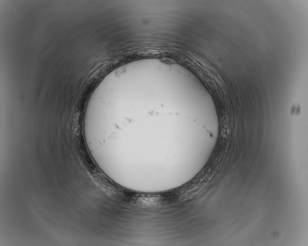 X0000096450560200802211236