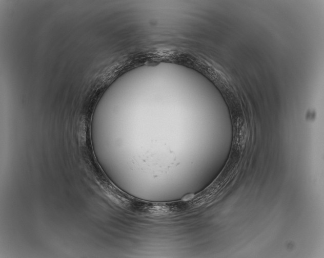 X0000096450562200802211237