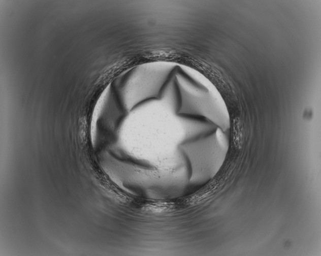 X0000096450563200802211237