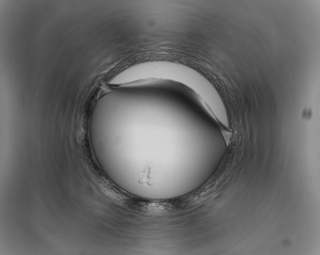 X0000096450566200802211237