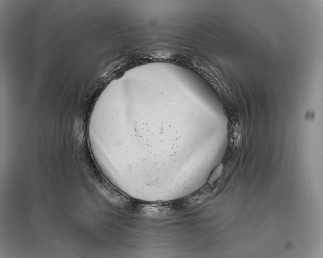 X0000096450568200802211237