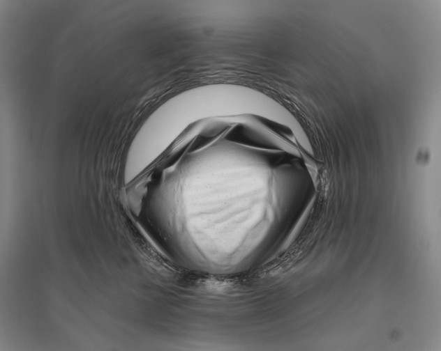 X0000096450570200802211237